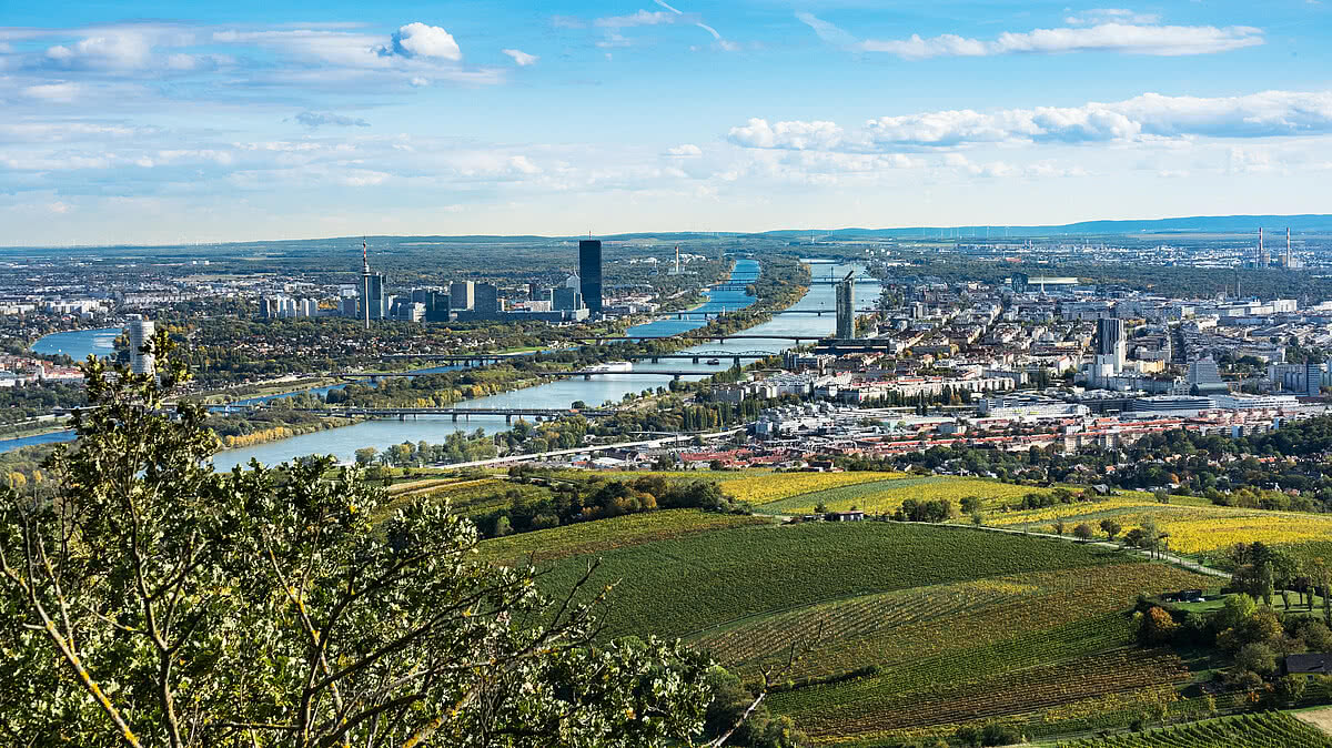 Wien Panorama im Herbst, Stadtansicht mit Donau vom Kahlenberg fotografiert