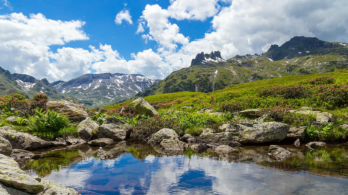 AT, AUT, Alpen, Alpenhauptkamm, Alps, Austria, Berge, Bergpanorama, Bergwelt, Bewölkung, Cumulus, Effekt, Europa, Gebirge, Genre, Gewässer, Haufenwolken, Kampspitze, Low Tauern, Meteorologie, Natur & Landschaft, Niedere Tauern, Oesterreich, Panorama, Rohrmoos - Untertal, Schladminger Tauern, Spiegelung, Steiermark, Stiermarken, Stillgewässer, Styria, Tümpel, Wasser, Weather, Weiher, Wetter, Wildes Wasser, Zentrale Ostalpen, ausblick, bergen, clouds, effect, meteorology, mountains, poel, reflect, reflection, spiegeln, uitzicht, view, vista, water, waterloop, weer, weitsicht, wolken, Österreich